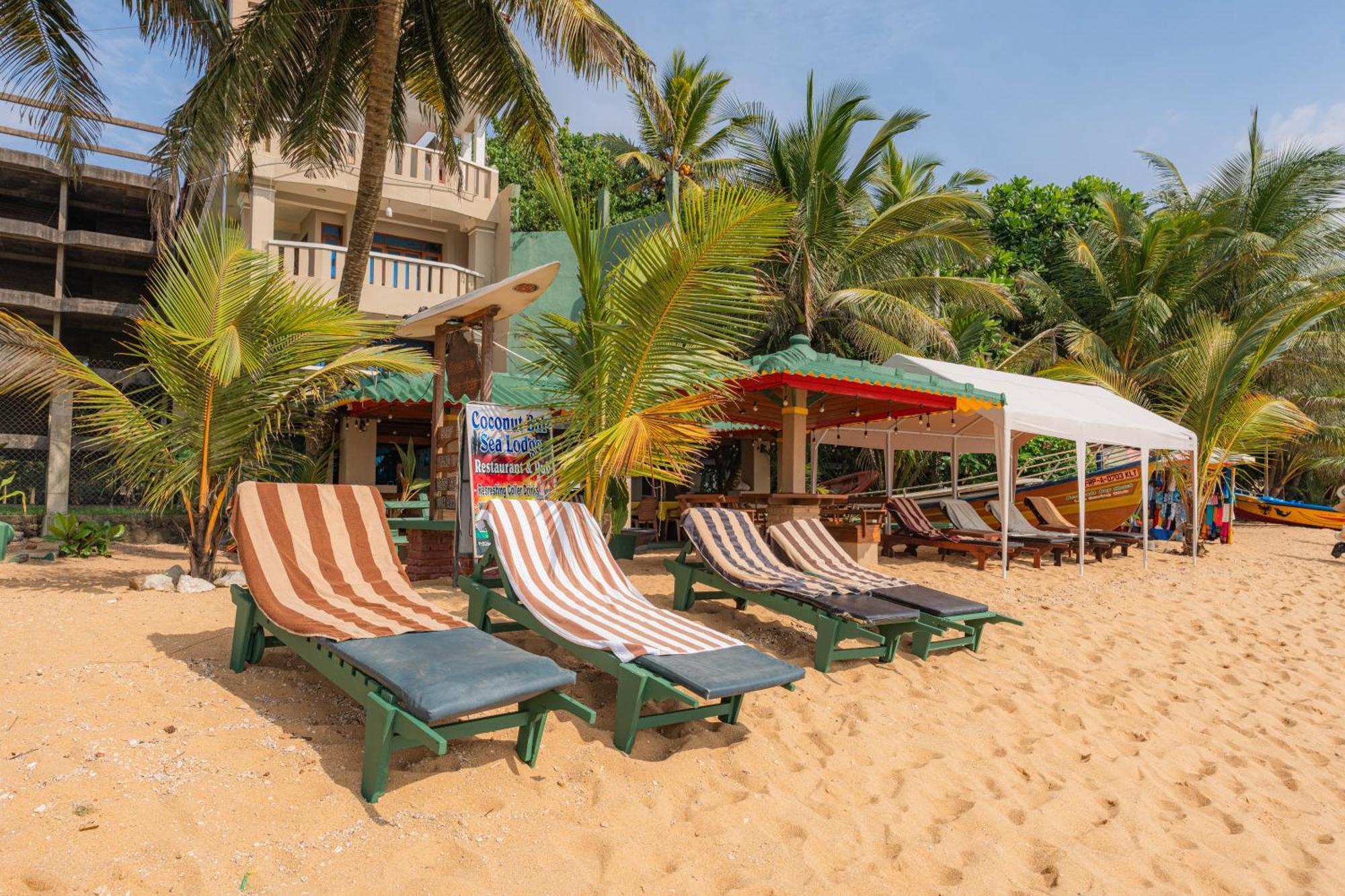 Hotel Coconut Bar Sea Lodge Beruwala Luaran gambar